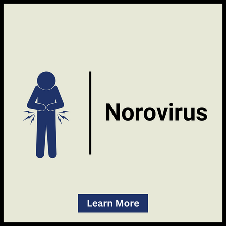 Norovirus